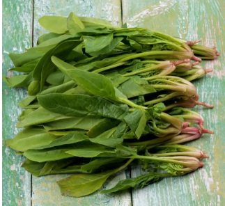 Spinach is highly nutritious, and there are a few steps you should take before consuming it to maximize its benefits