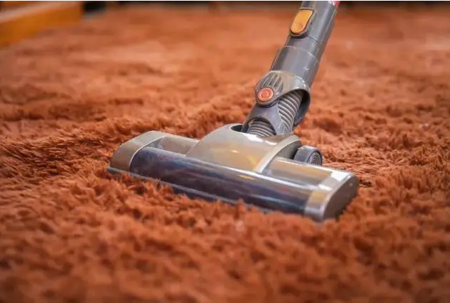 How to deal with ubiquitous dust mites?