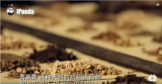 Introduction of TCM