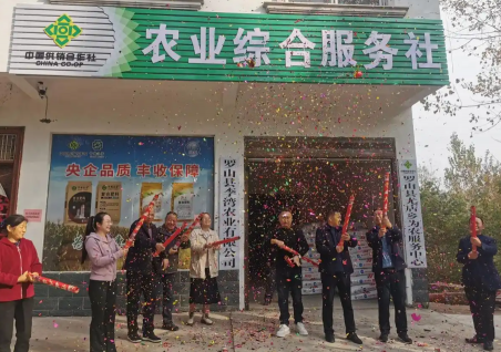 Luoshan County: agricultural comprehensive service centers take root, injecting supply-and-marketing new momentum into rural revitalization