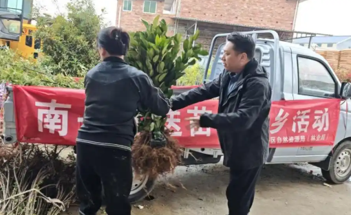 Nanyue District: delivering seedlings to the countryside adds new greenery; ecological benefits for the people boost revitalization