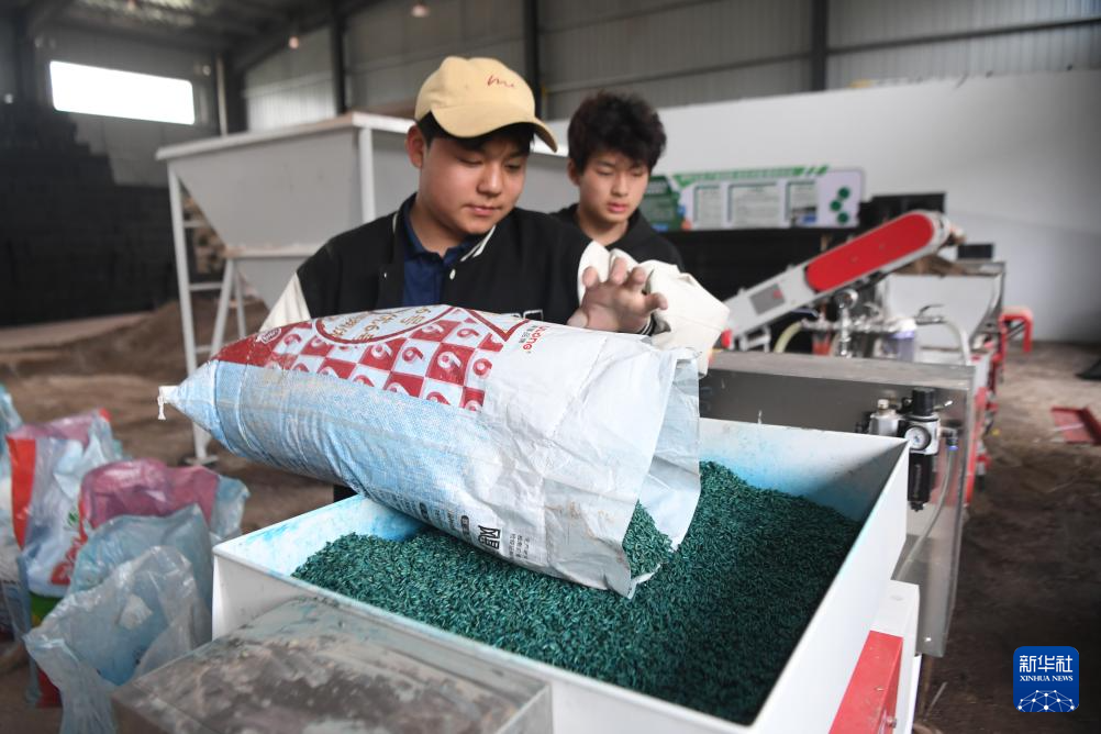 Chongqing Liangping: busy rice seedling cultivation in the 