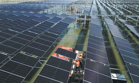 Energy sector shows resilience in Q1