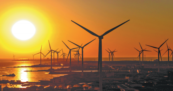 Targeted consumption strategies urged as green ..