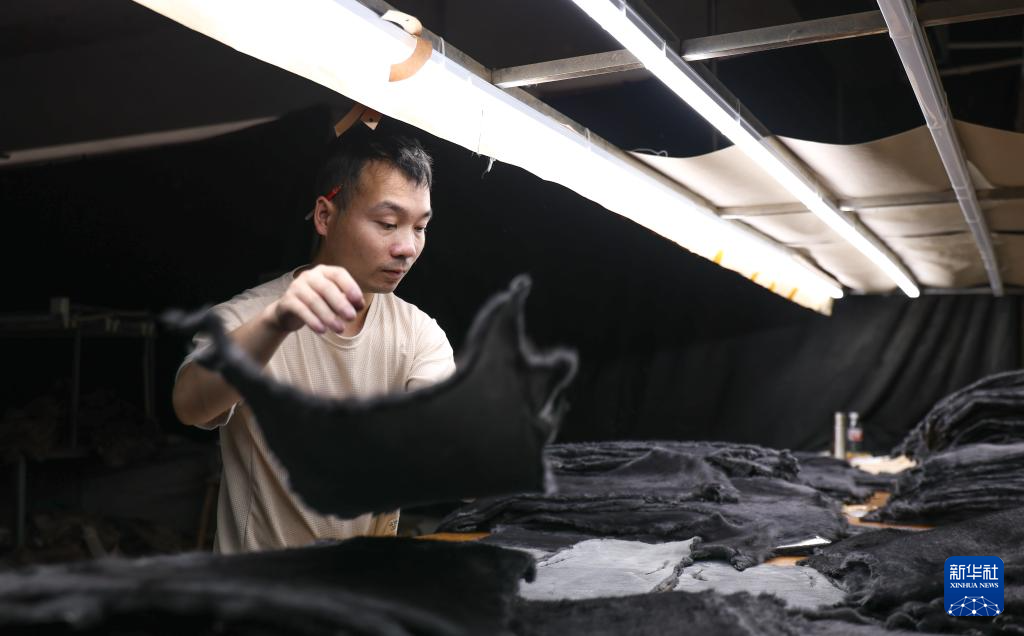 Hebei Zaoqiang: creating the signature brand of 