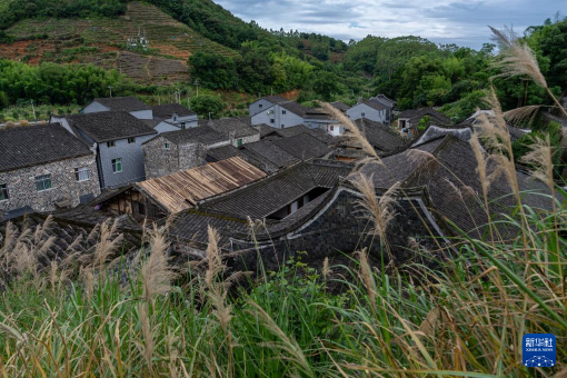 New vitality of She culture in the ancient village