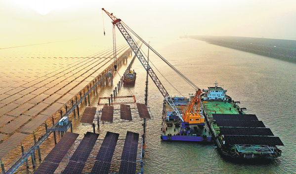 Solar sector in value rebuilding