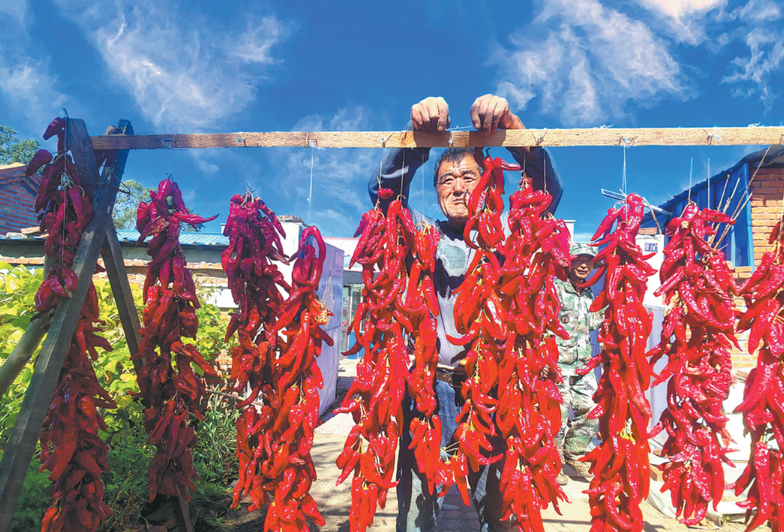 Heilongjiang leverages black soil culture