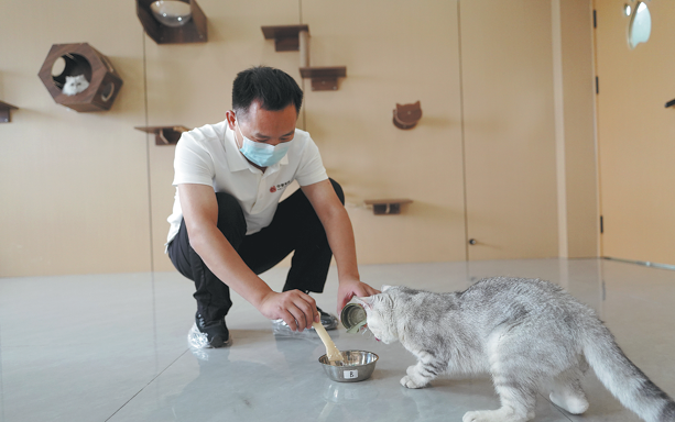 Evolution of nation's expanding pet food sector